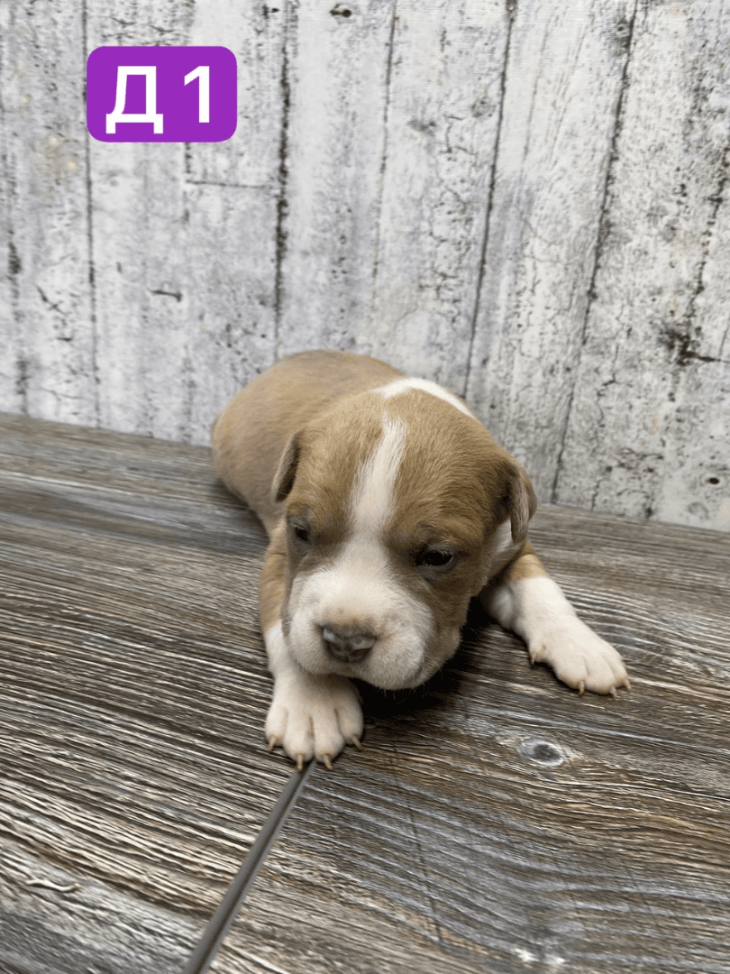 carousel-image-mobile-5