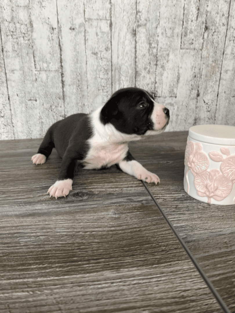 carousel-image-mobile-6