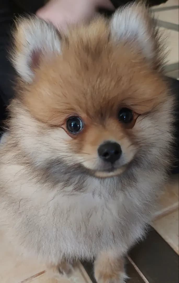 carousel-image-mobile-1