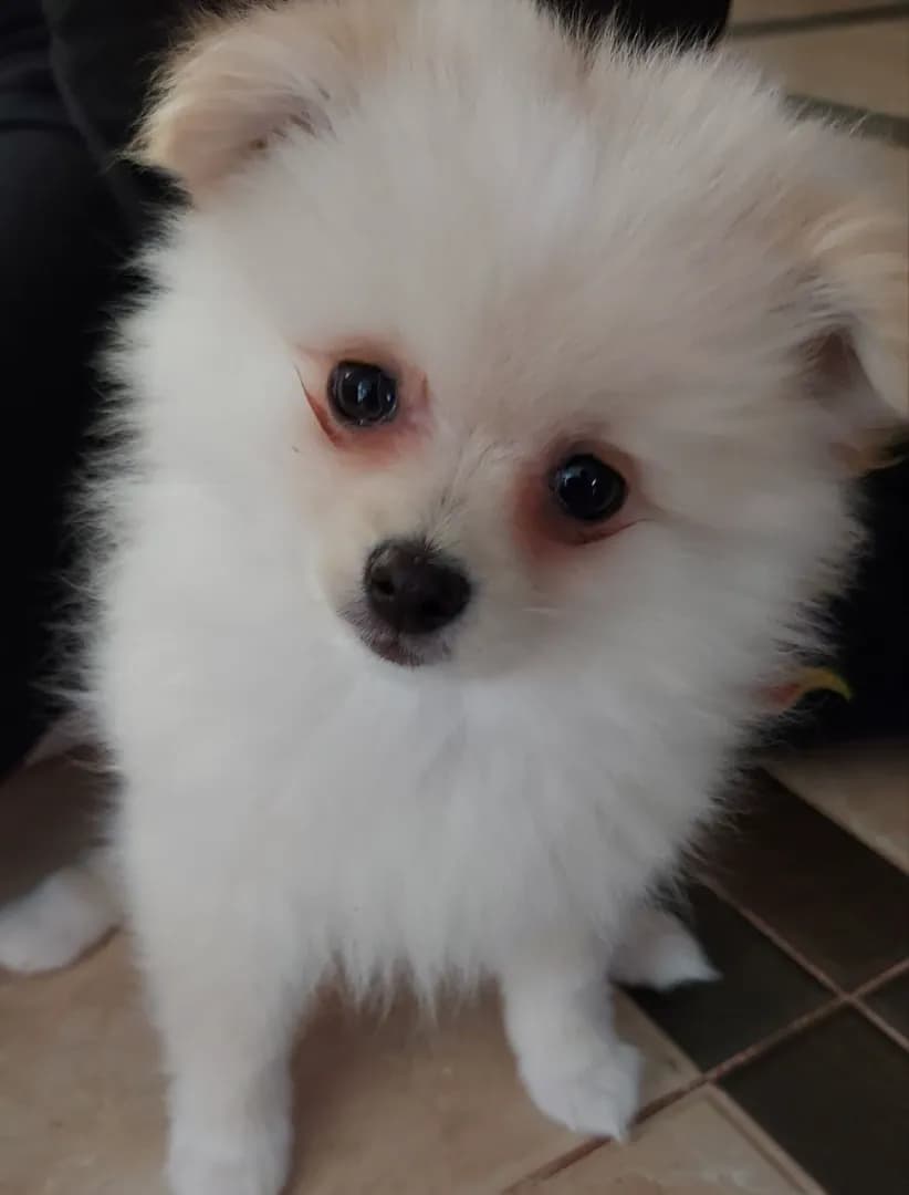 carousel-image-mobile-2