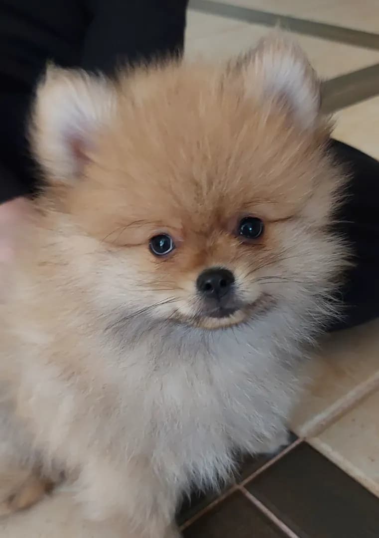 carousel-image-mobile-3