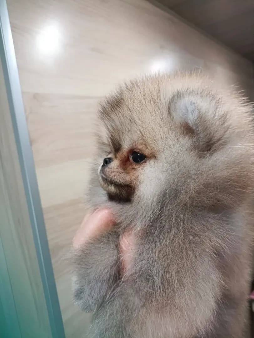 carousel-image-mobile-1