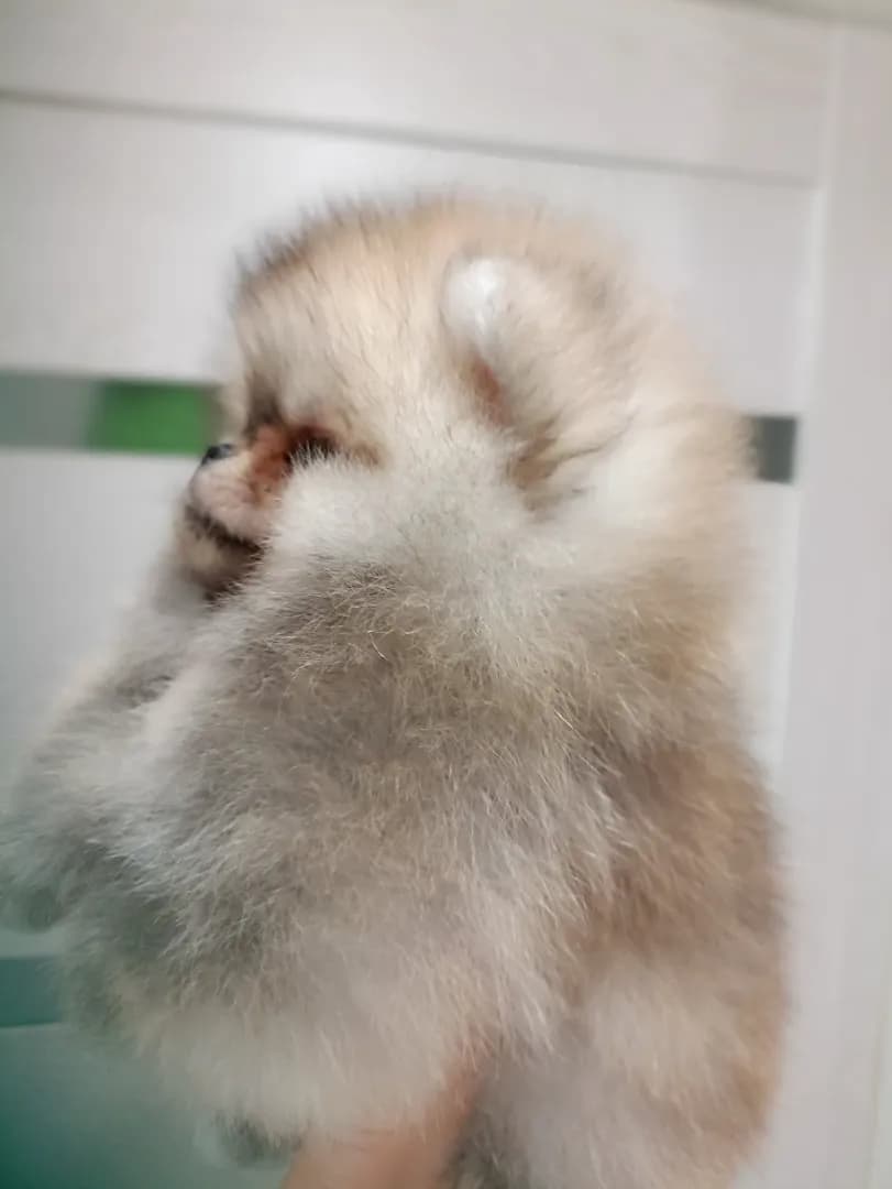 carousel-image-mobile-2