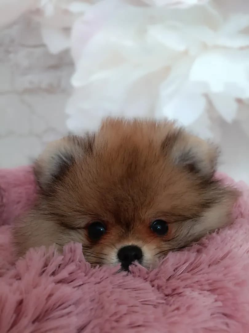 carousel-image-mobile-3