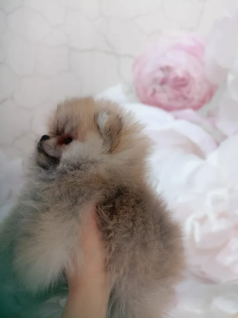 carousel-image-mobile-4