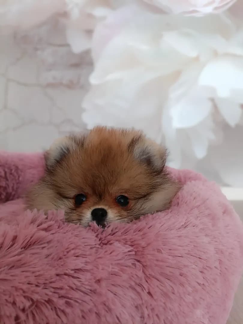 carousel-image-mobile-5