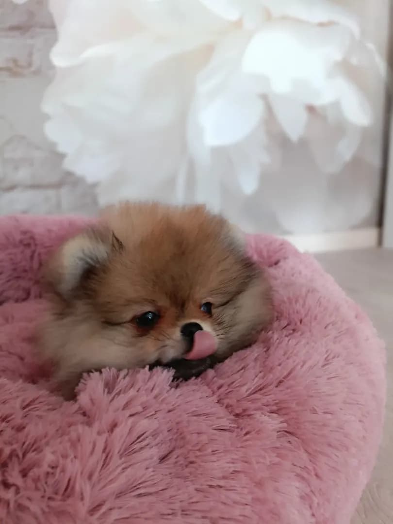 carousel-image-mobile-6