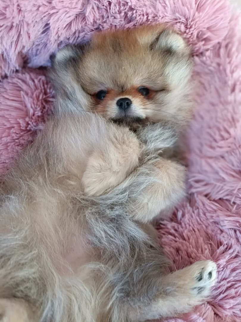 carousel-image-mobile-7