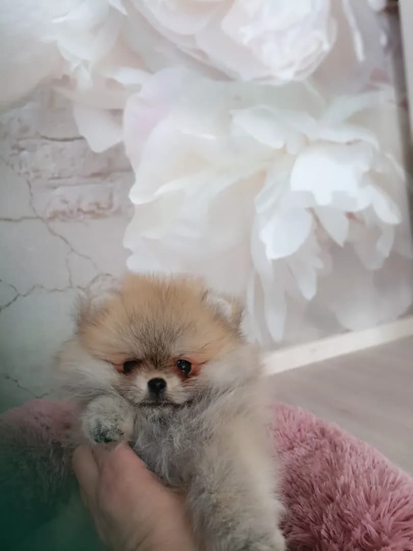 carousel-image-mobile-8