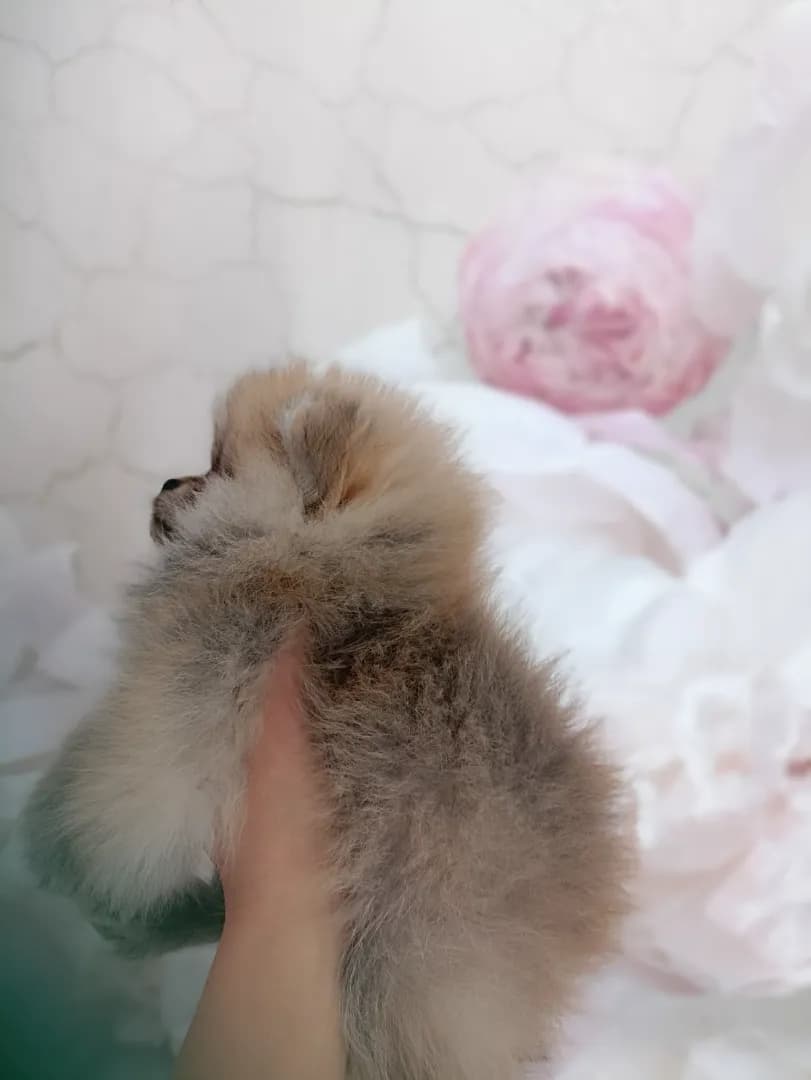 carousel-image-mobile-9