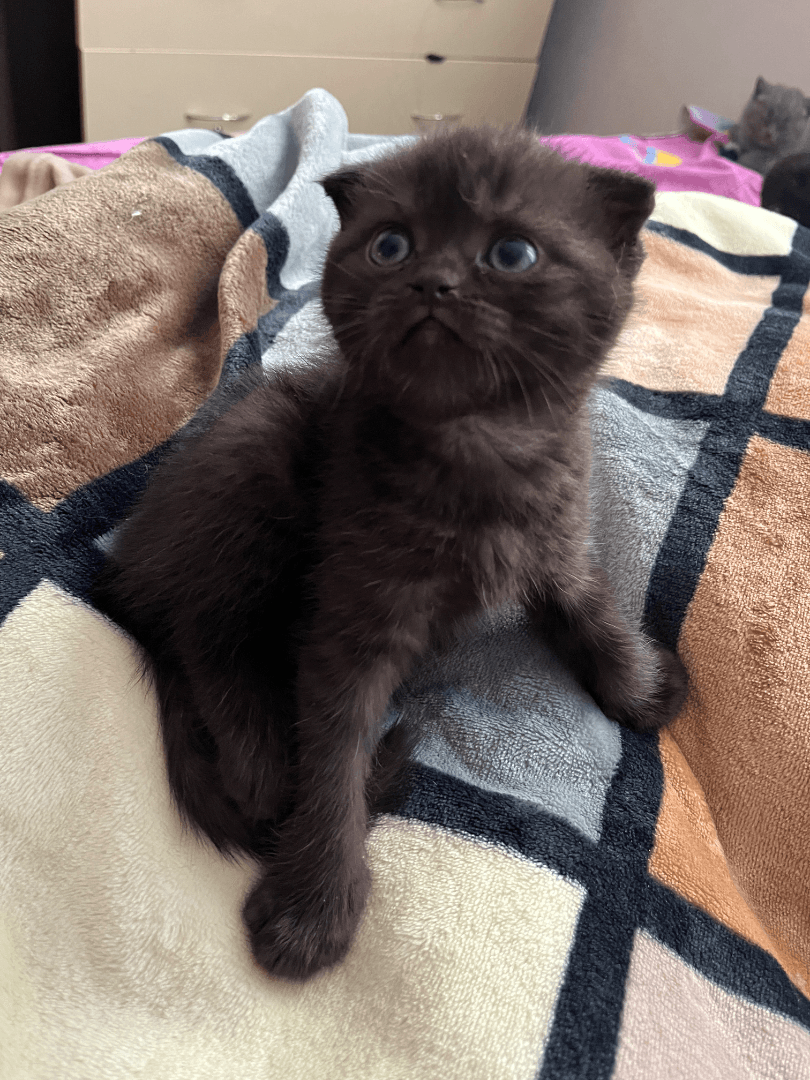 carousel-image-mobile-1