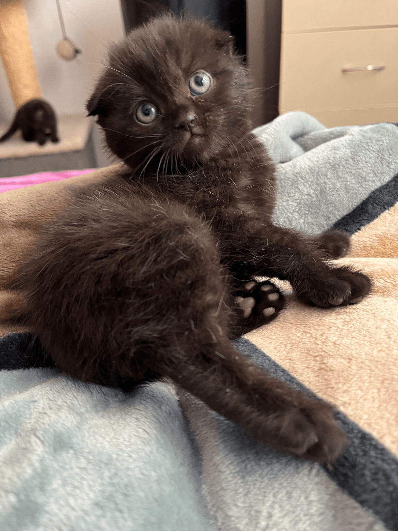 carousel-image-mobile-2