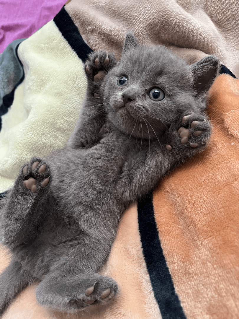 carousel-image-mobile-3