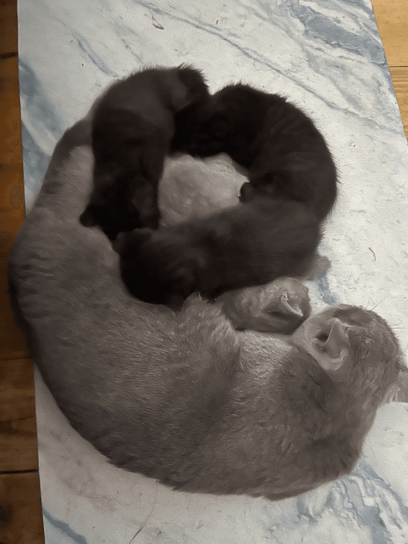 carousel-image-mobile-5