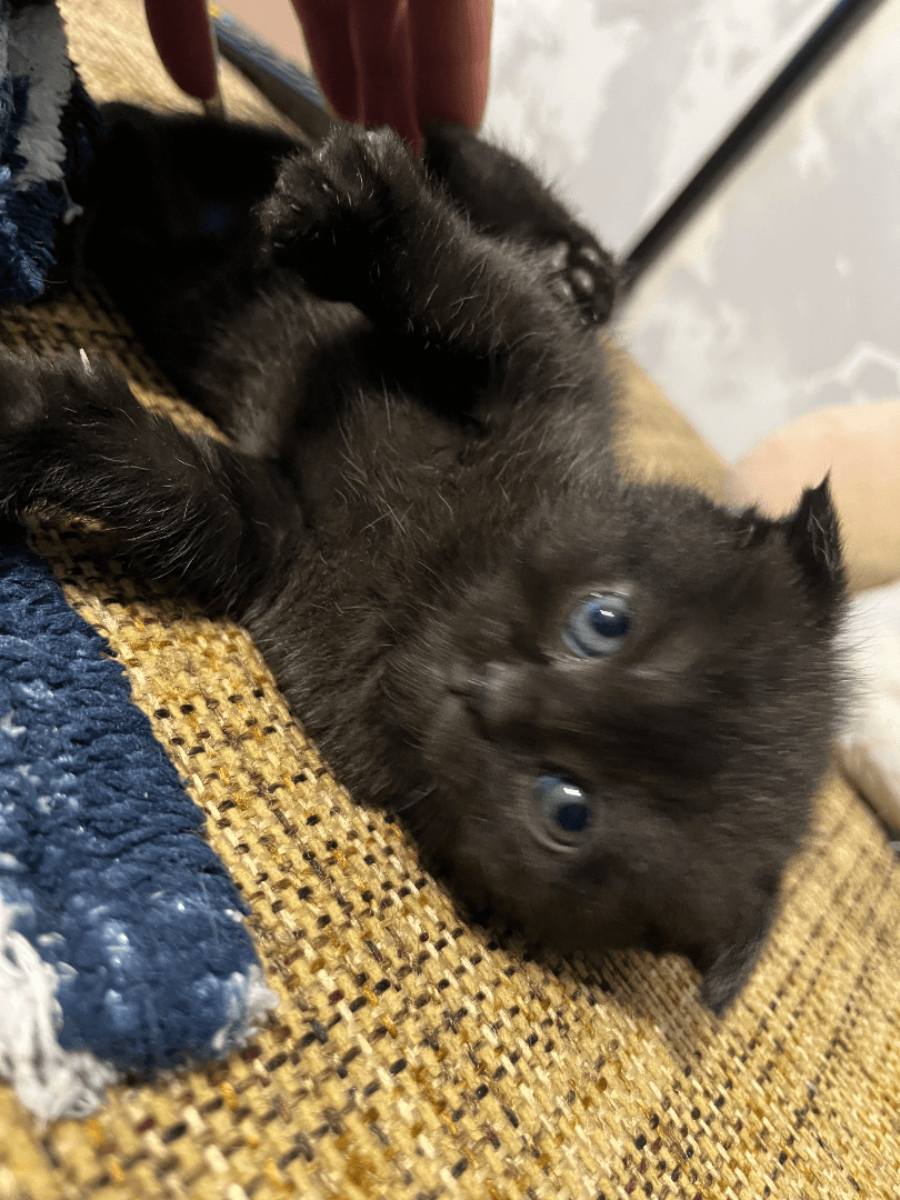 carousel-image-mobile-6