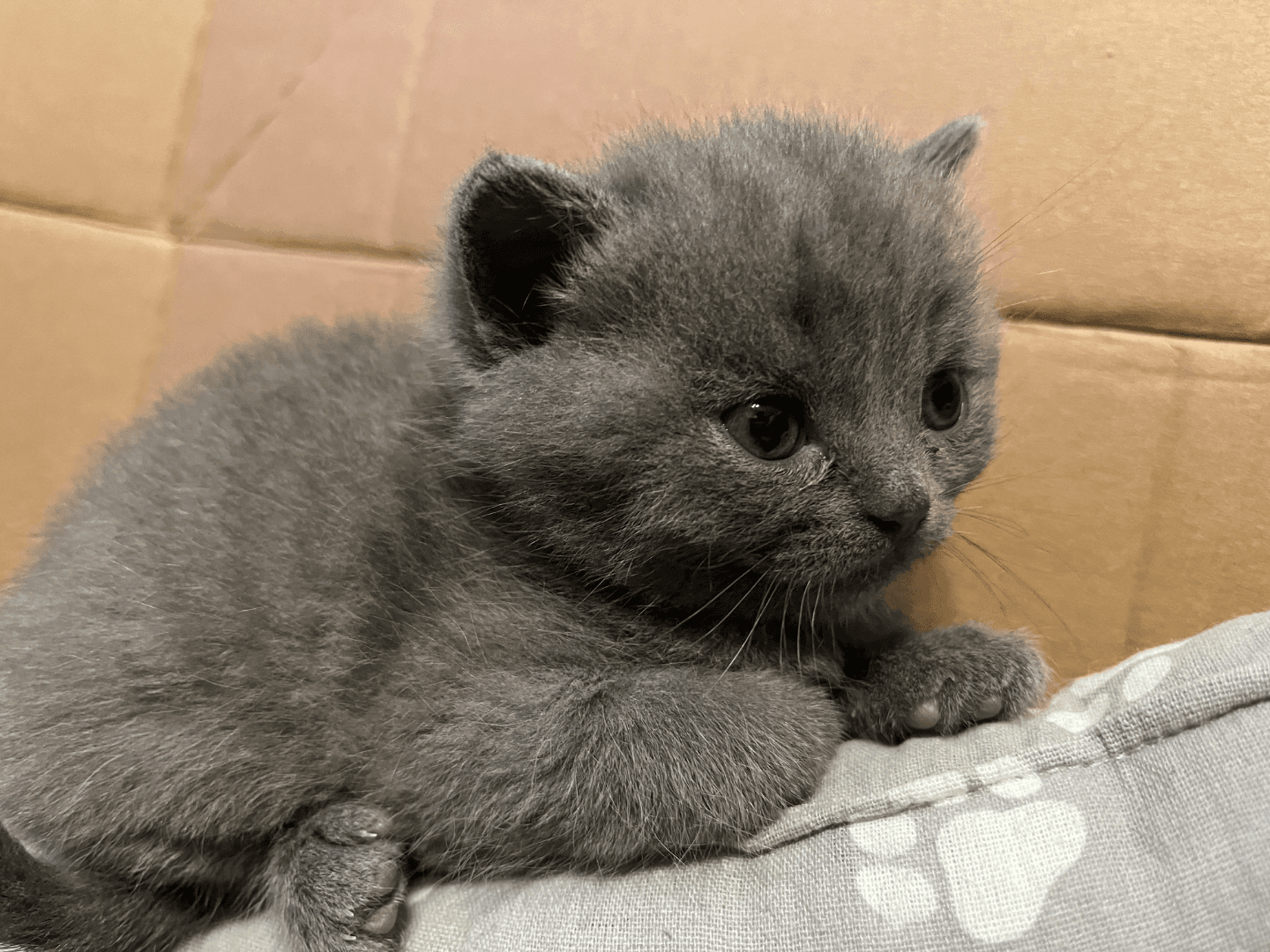 carousel-image-mobile-7