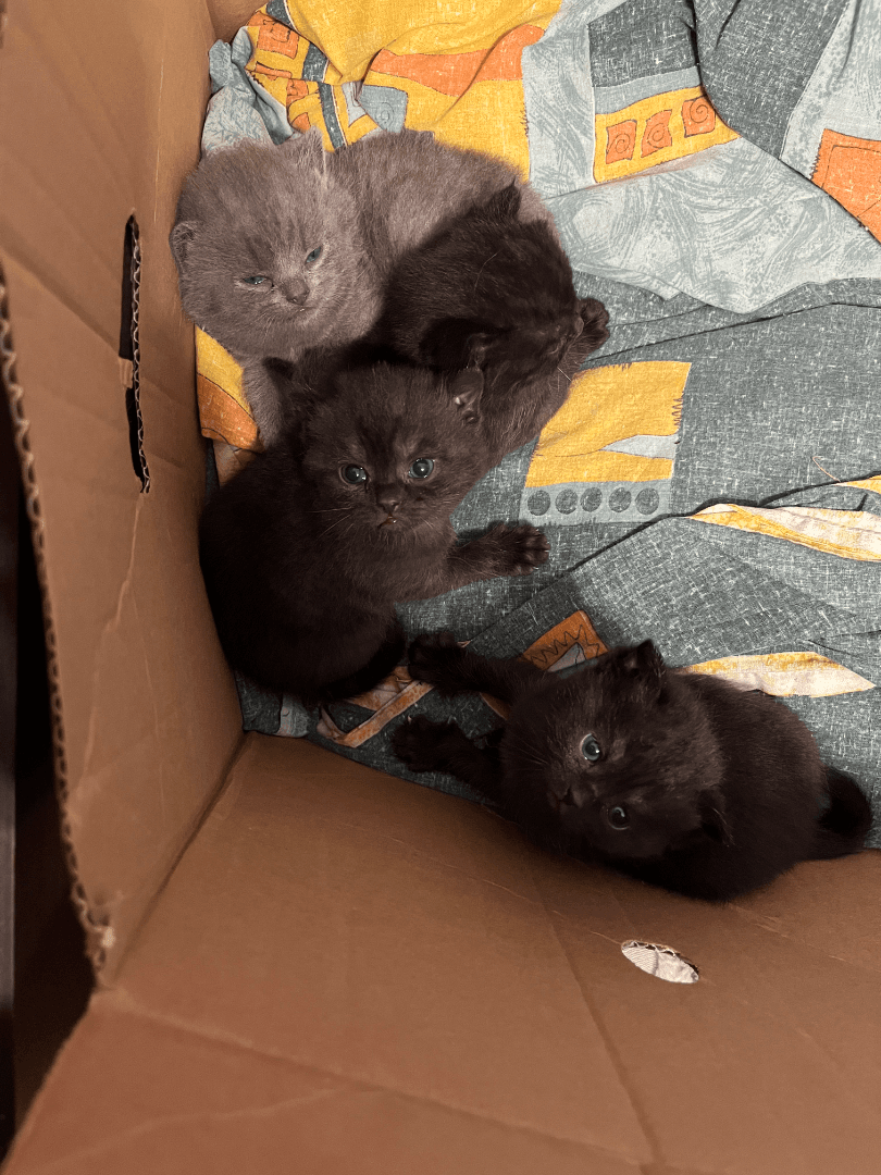 carousel-image-mobile-8