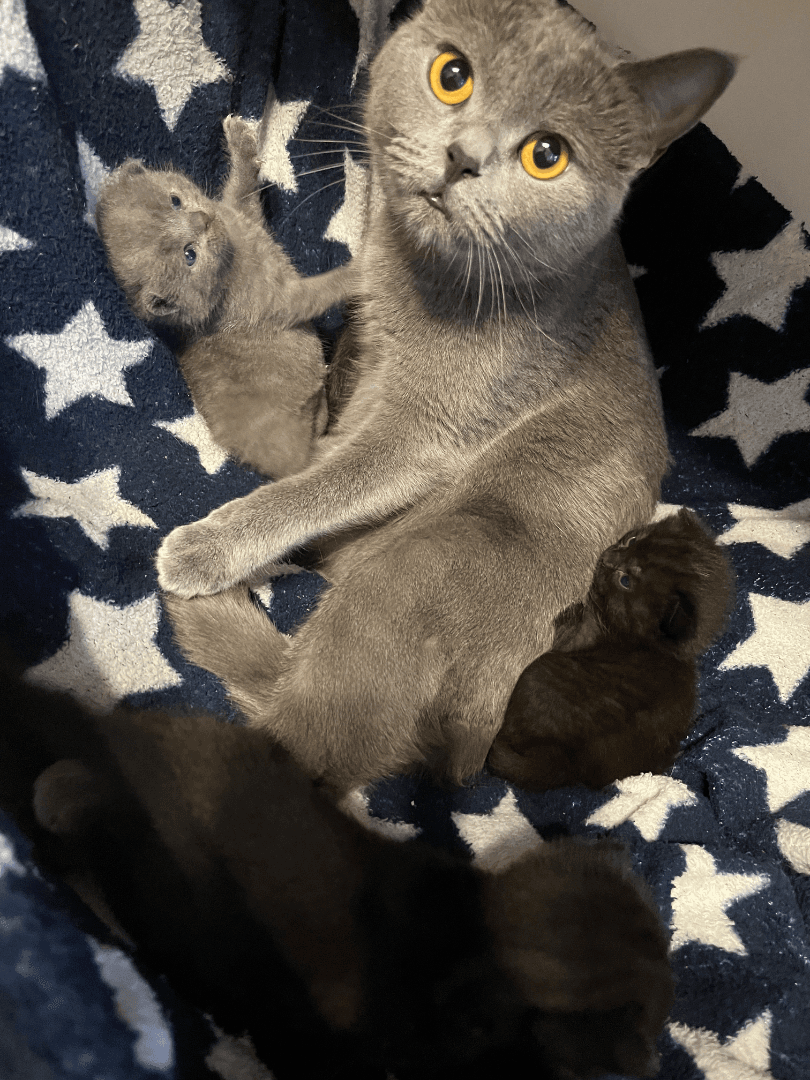 carousel-image-mobile-9