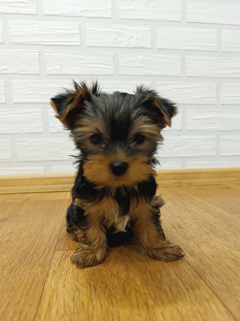 carousel-image-mobile-1