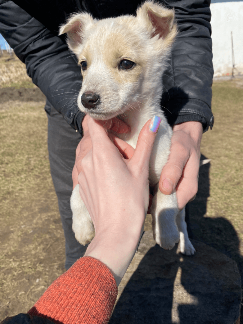 carousel-image-mobile-1