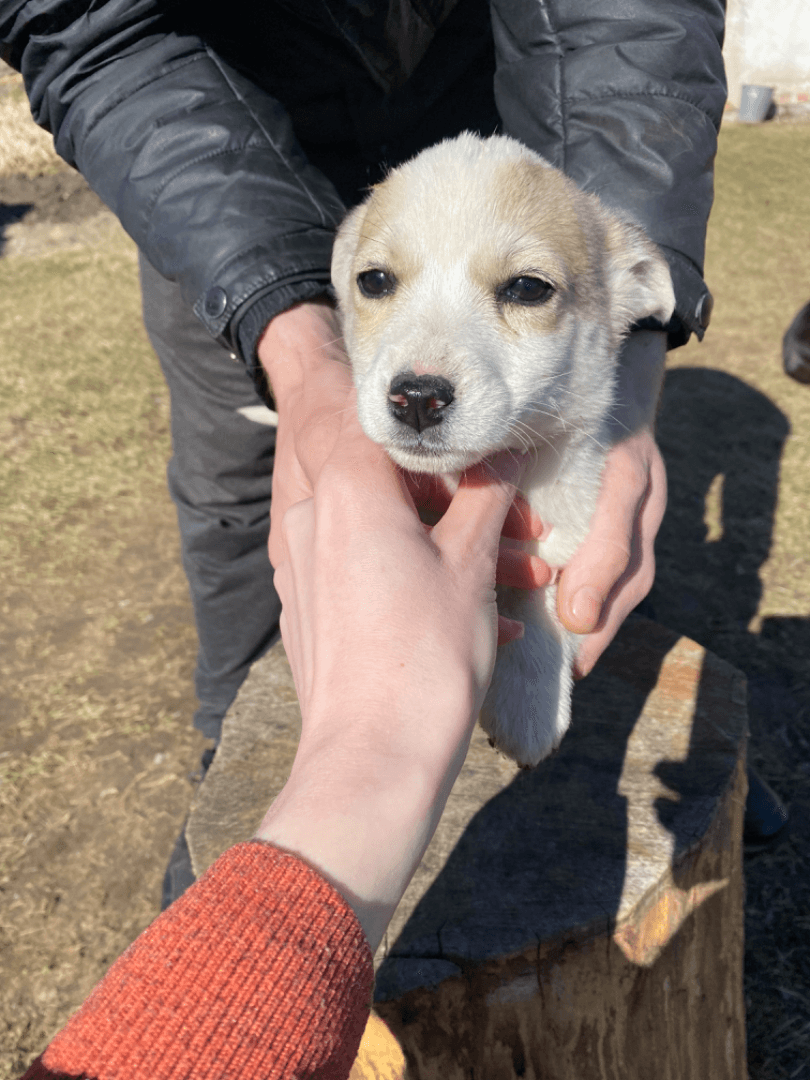 carousel-image-mobile-2