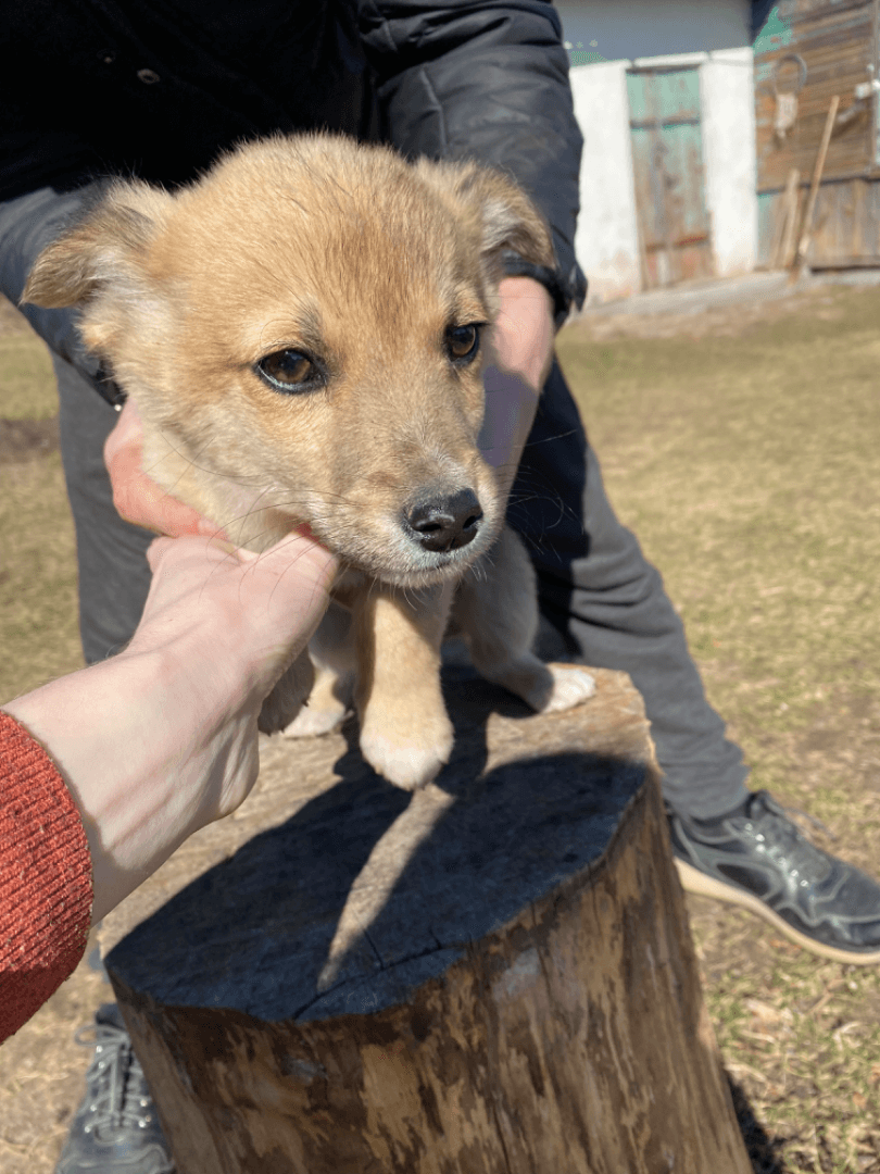 carousel-image-mobile-3