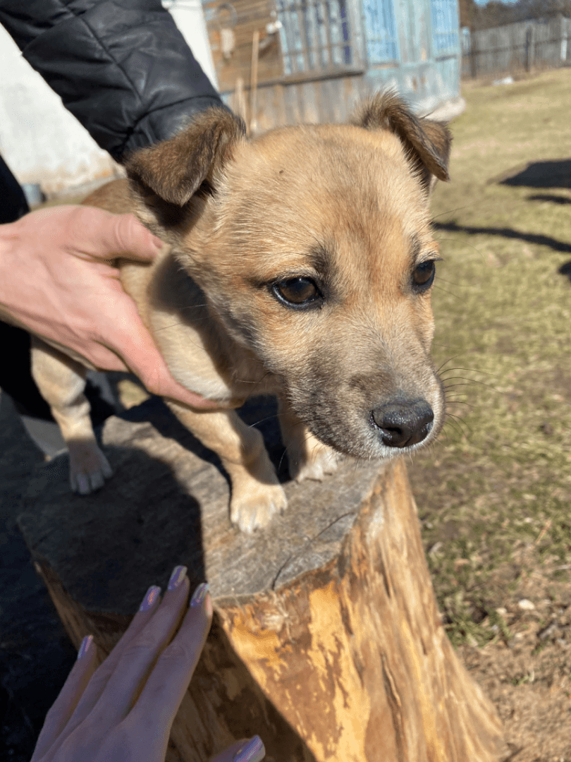 carousel-image-mobile-4