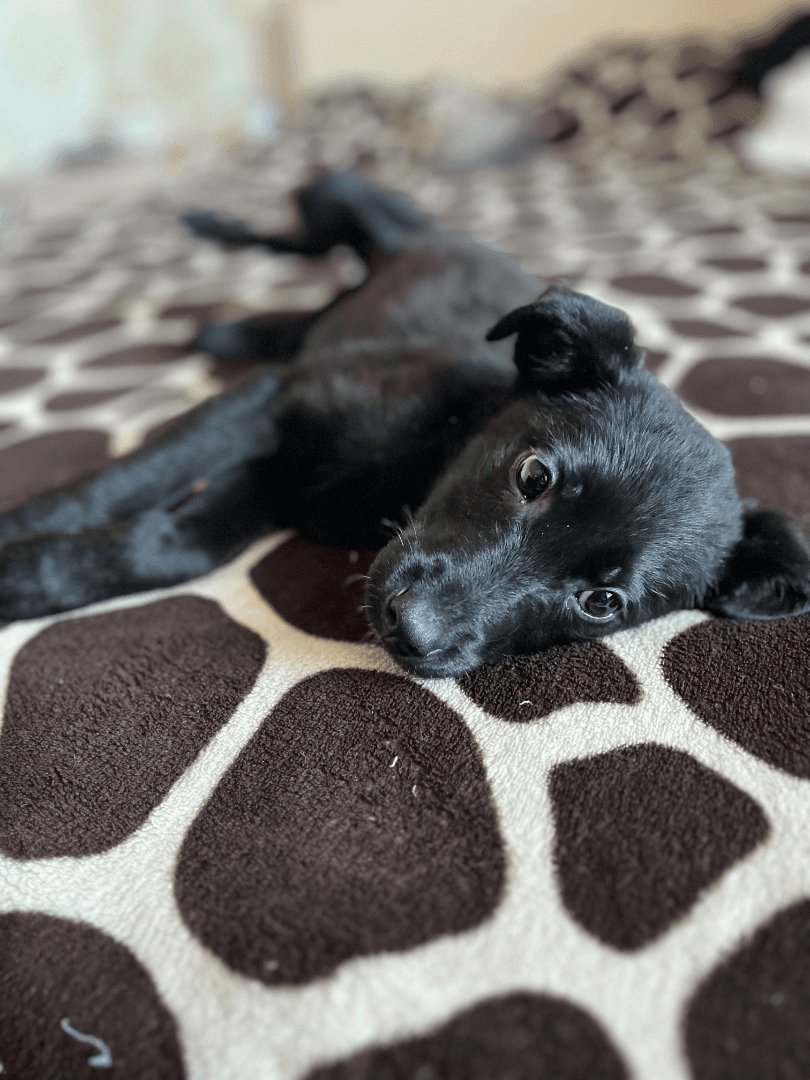 carousel-image-mobile-1