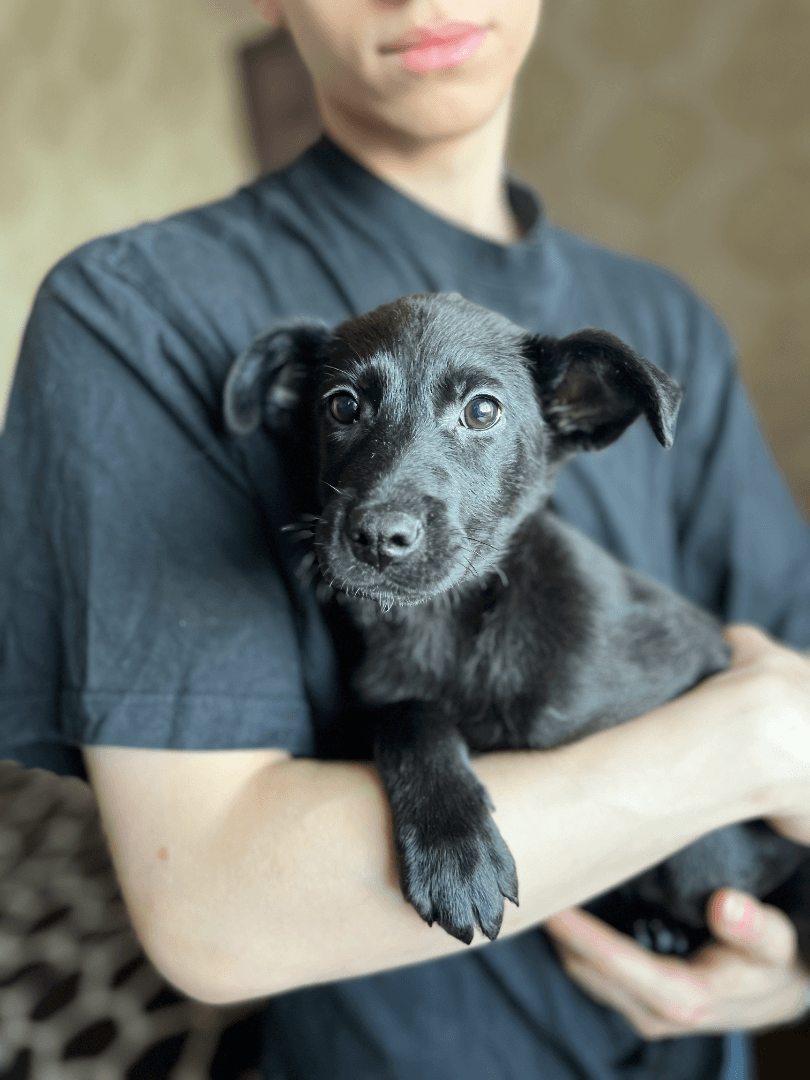 carousel-image-mobile-2