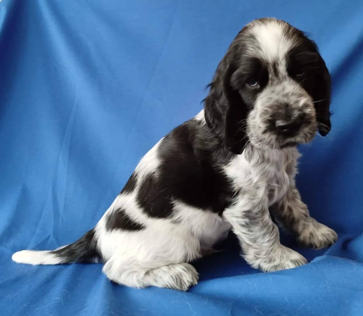 carousel-image-mobile-1