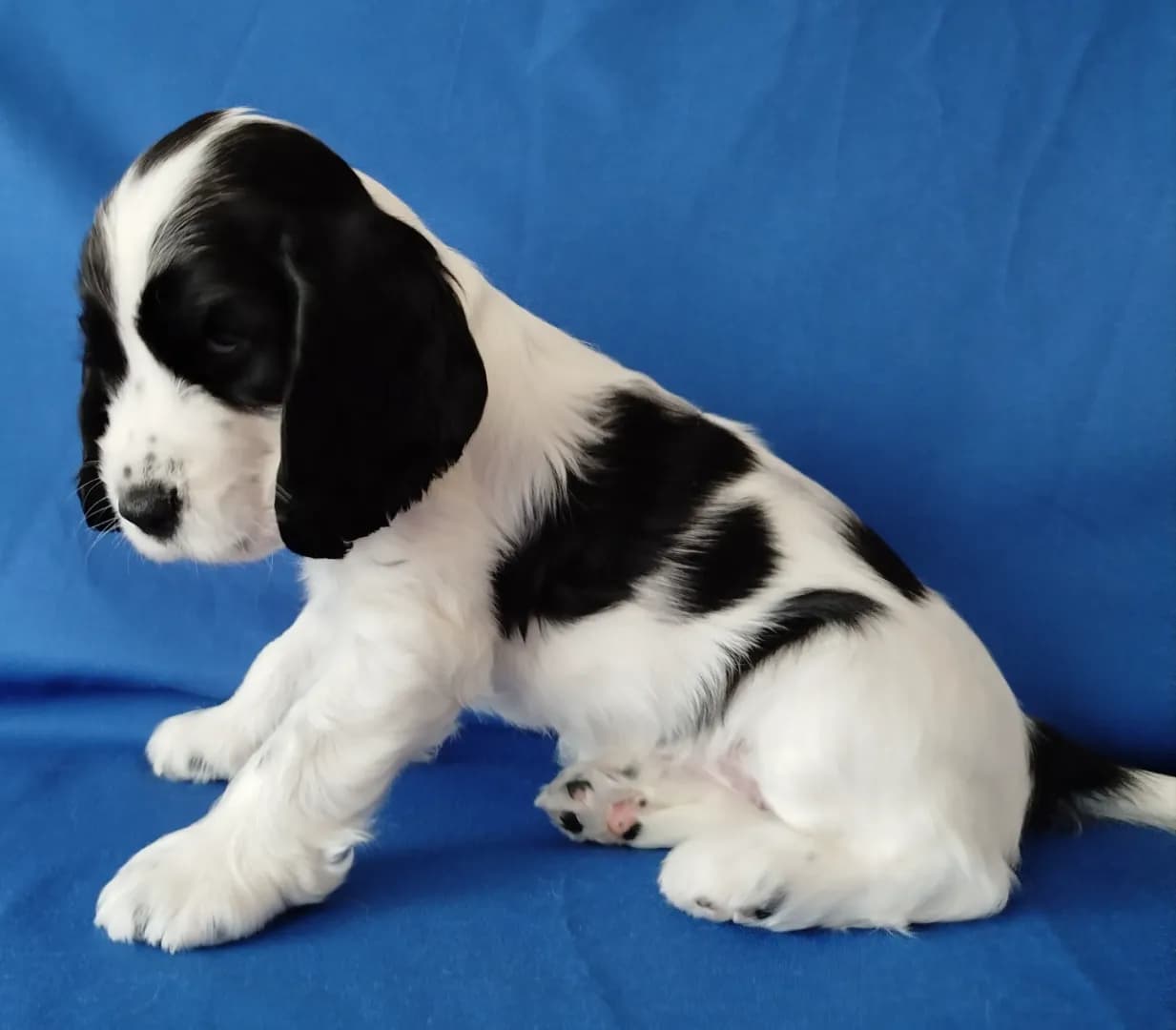 carousel-image-mobile-2