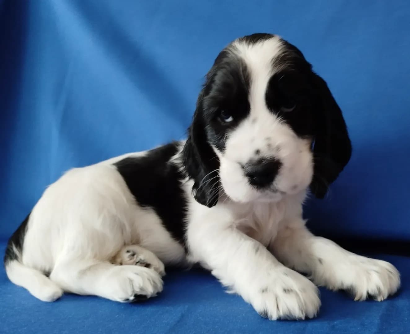 carousel-image-mobile-3