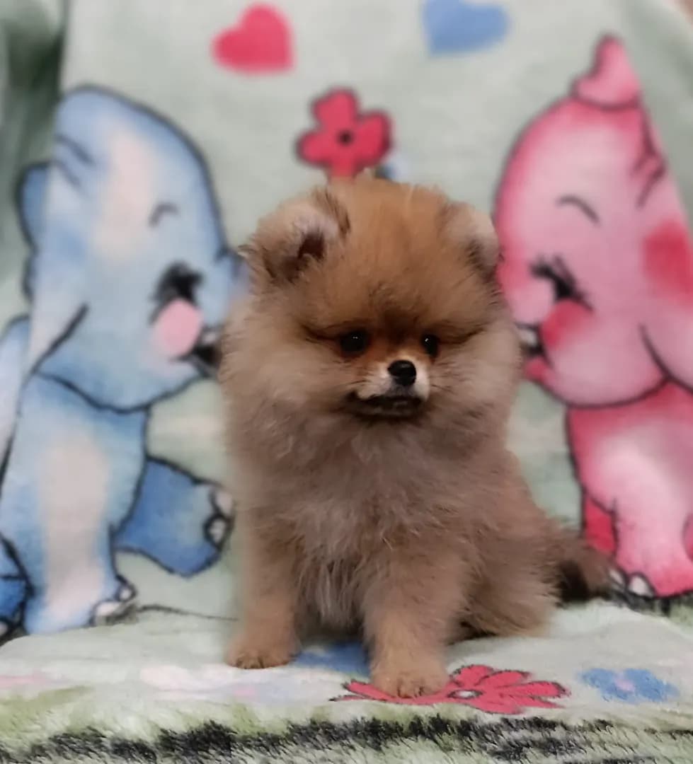 carousel-image-mobile-3