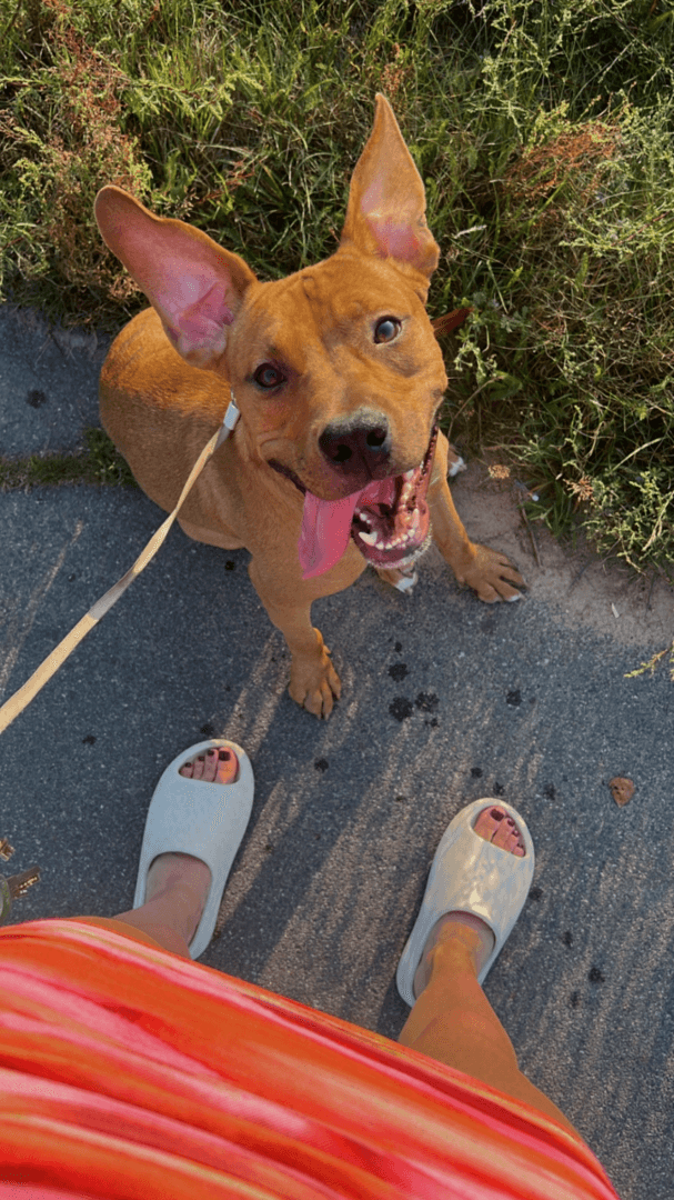 carousel-image-mobile-1