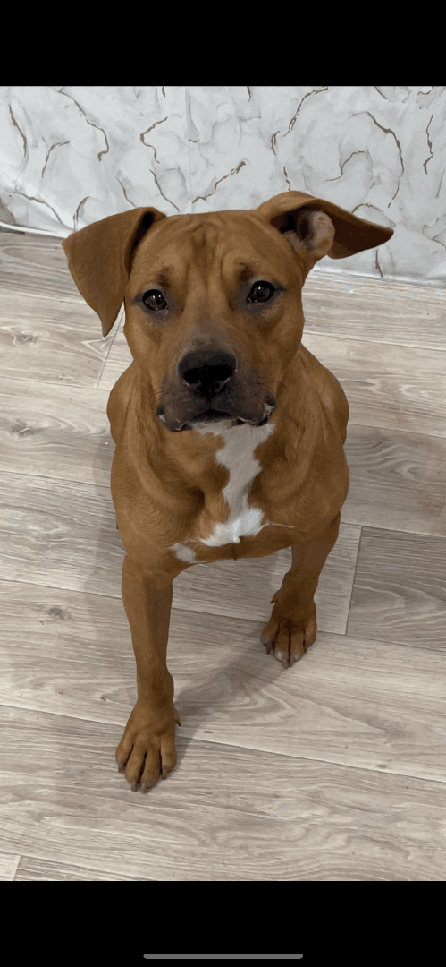 carousel-image-mobile-2