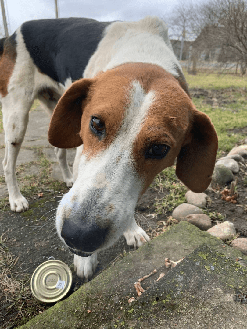 carousel-image-mobile-2