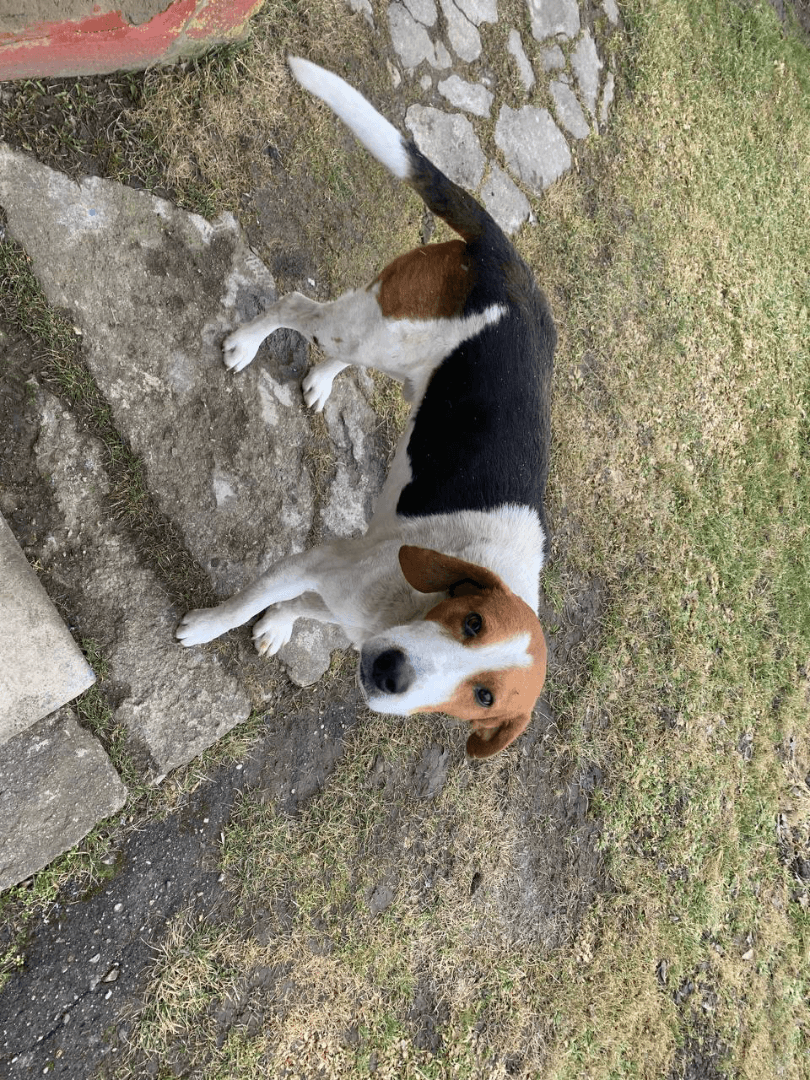 carousel-image-mobile-3