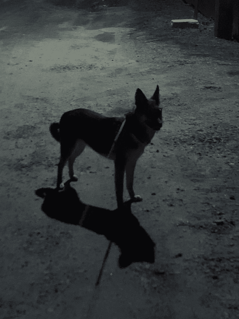 carousel-image-mobile-1