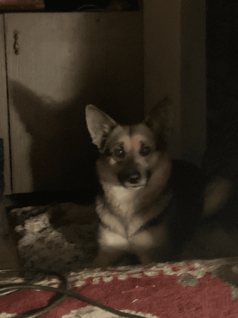 carousel-image-mobile-2