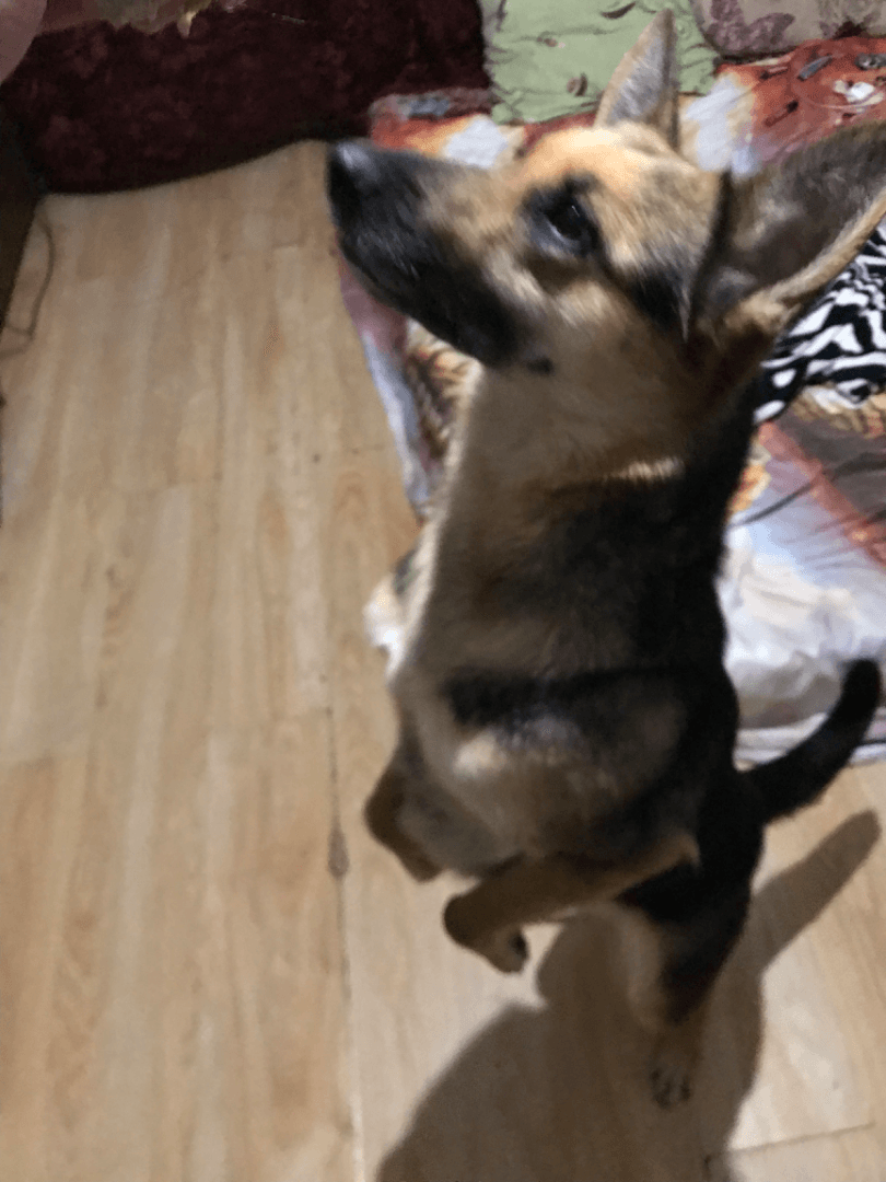 carousel-image-mobile-3