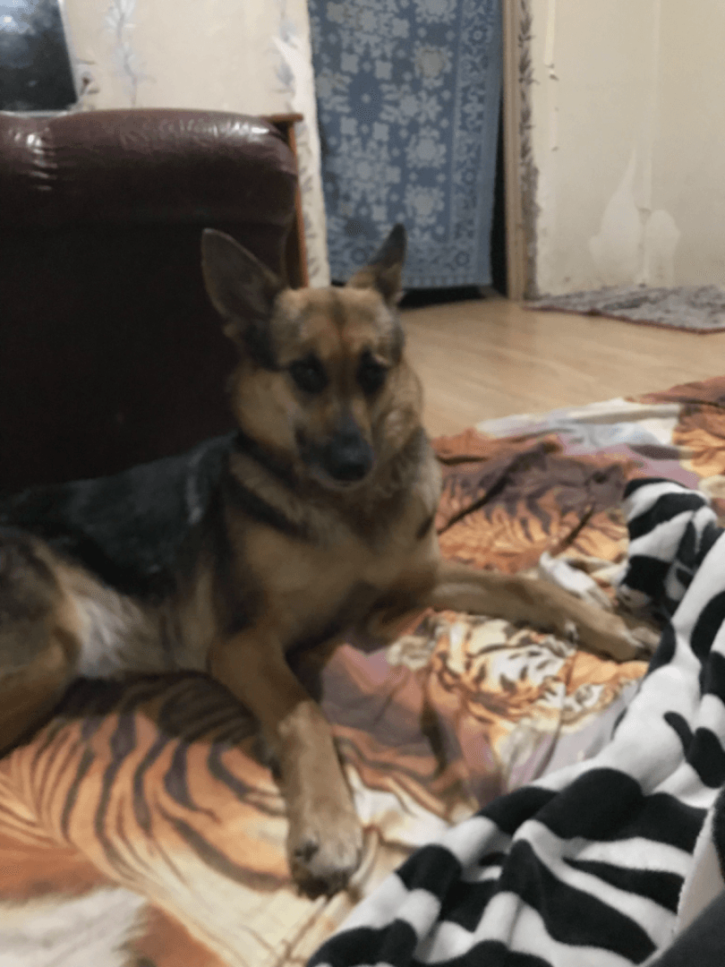 carousel-image-mobile-4