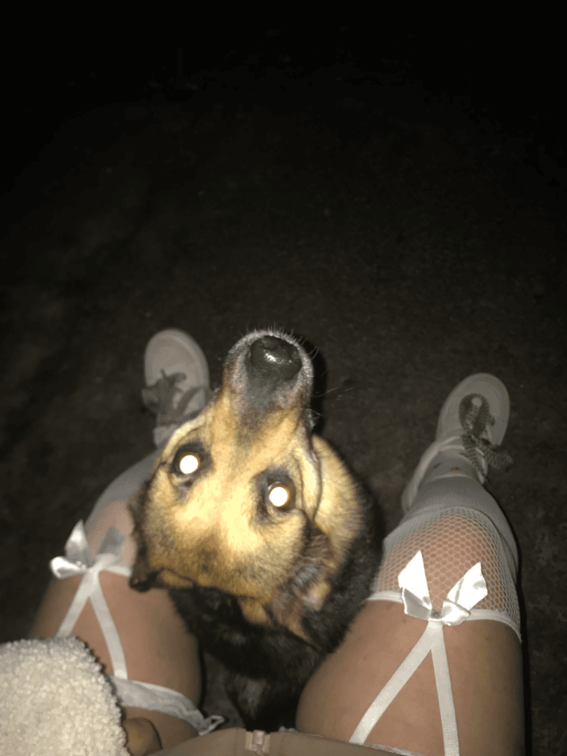 carousel-image-mobile-5