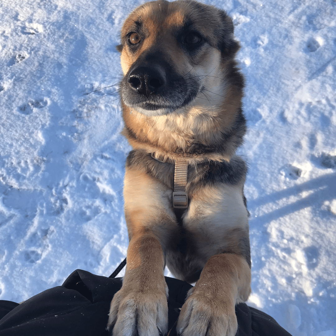 carousel-image-mobile-6