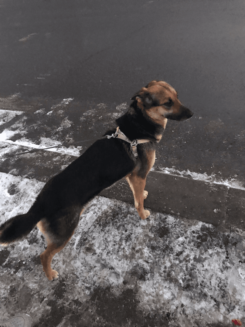 carousel-image-mobile-7