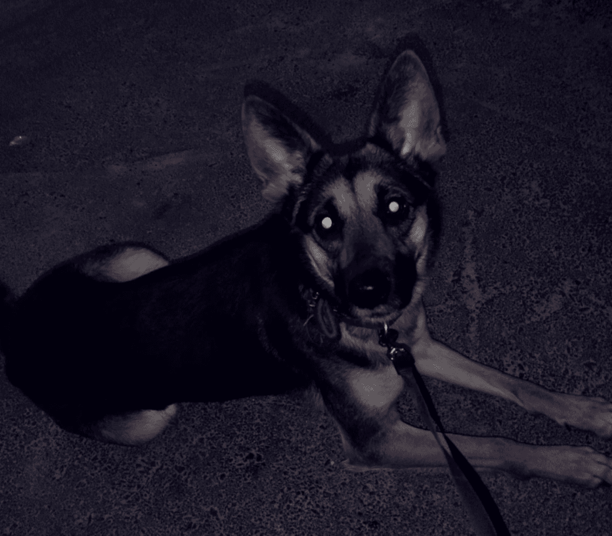 carousel-image-mobile-8