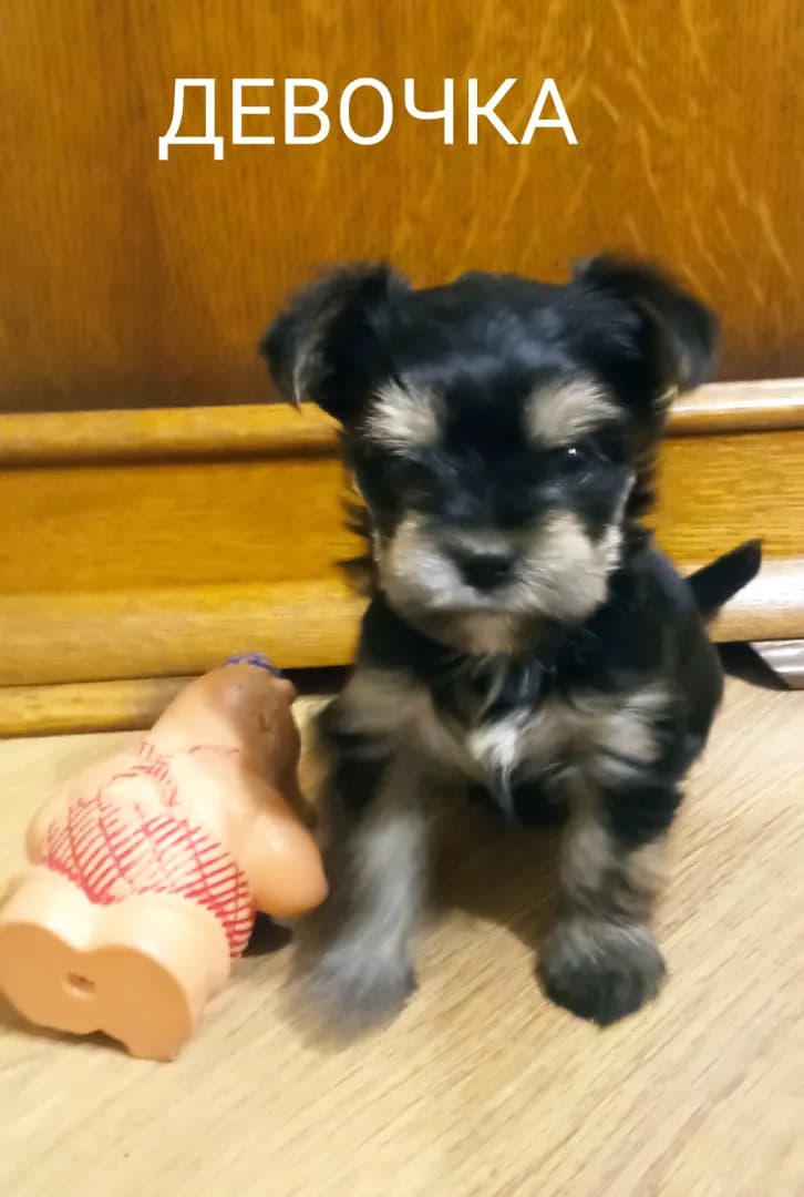 carousel-image-mobile-1