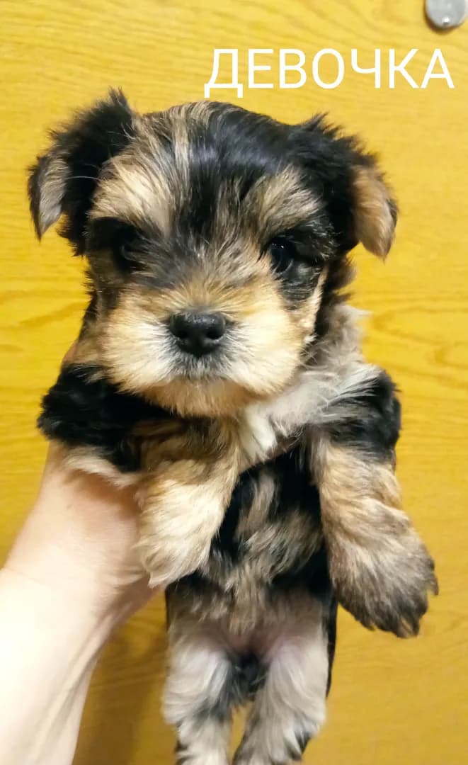 carousel-image-mobile-2