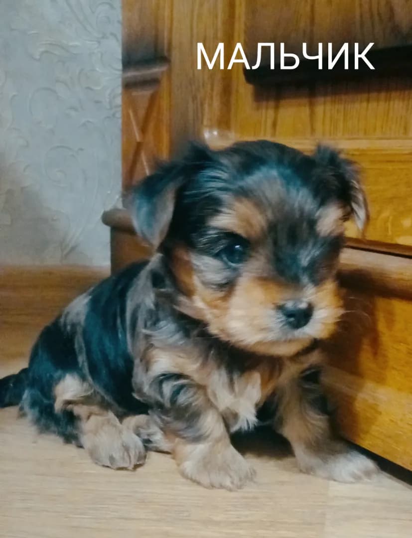 carousel-image-mobile-3