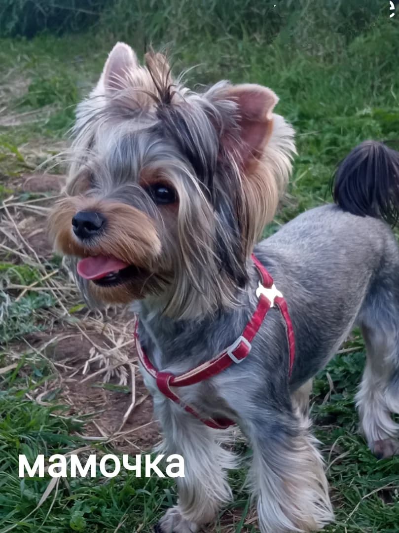 carousel-image-mobile-4