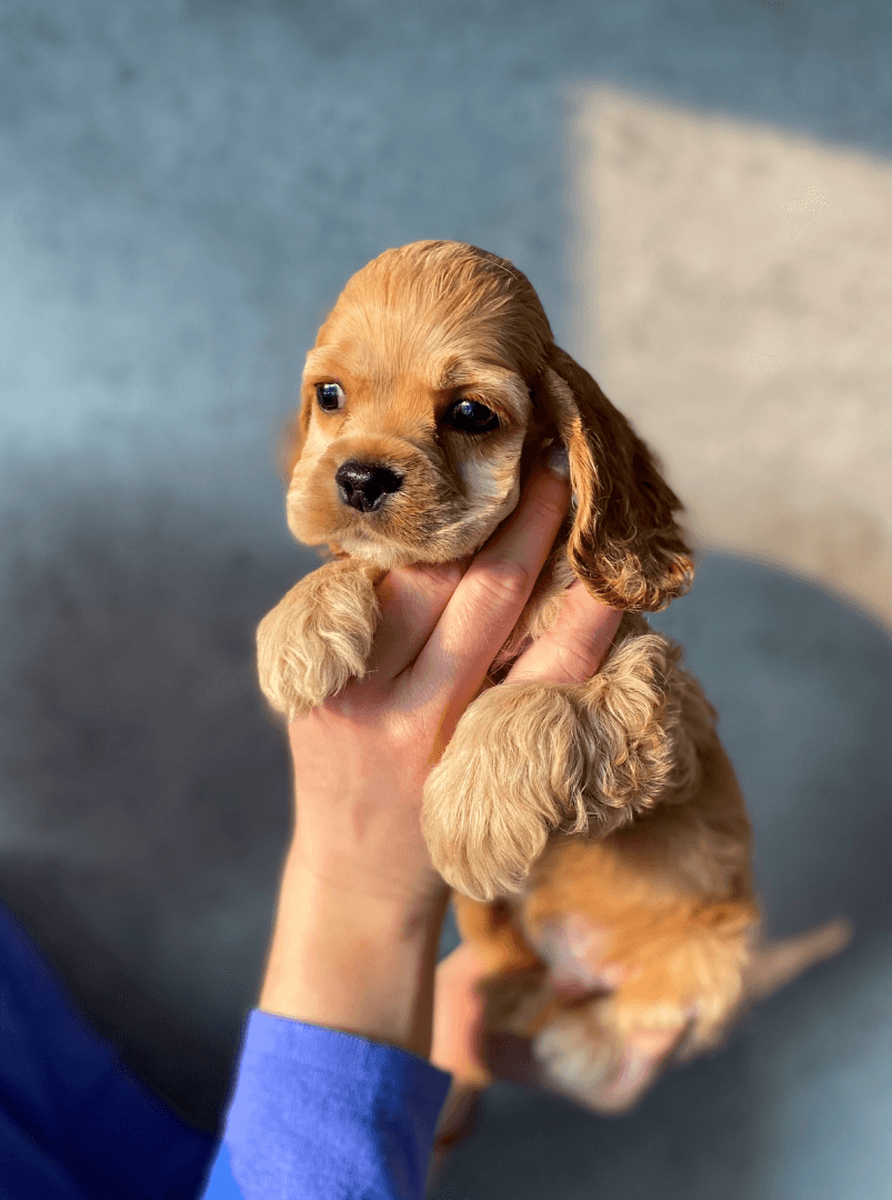 carousel-image-mobile-3